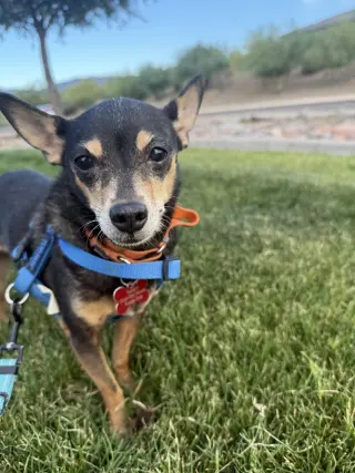 Lupita