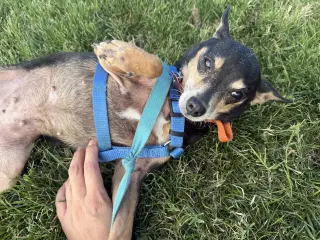 Lupita