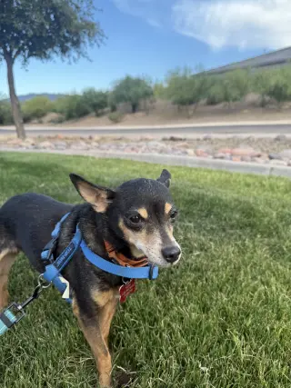 Lupita