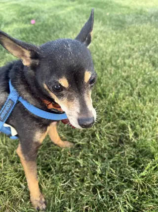 Lupita