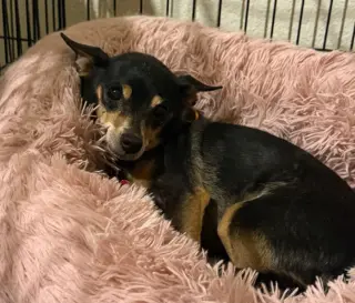 Lupita