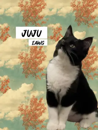 JuJu Bean