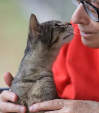 Asa