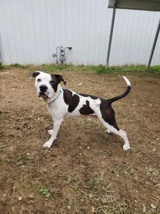 King Zeus