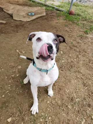 King Zeus