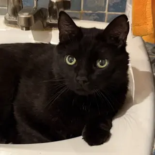 Thor