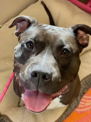 Max