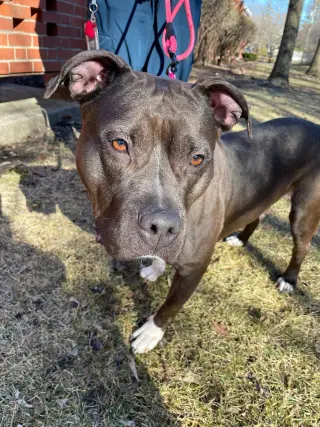 Max