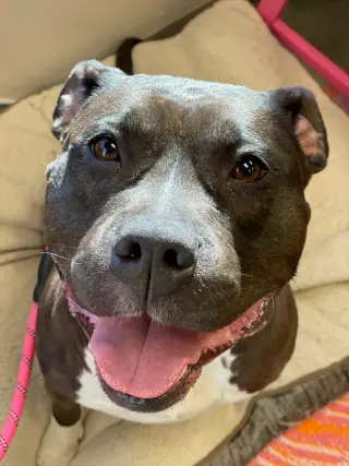 Max