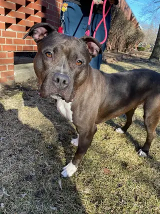 Max