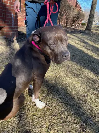 Max