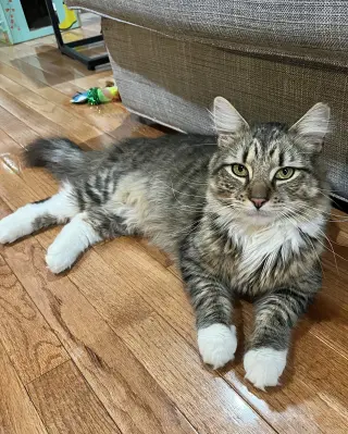 Sebastian
