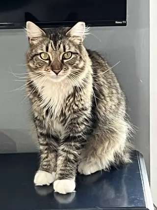 Sebastian