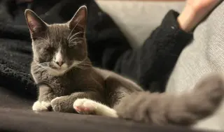 Thomas