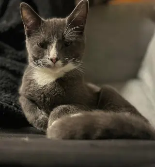 Thomas