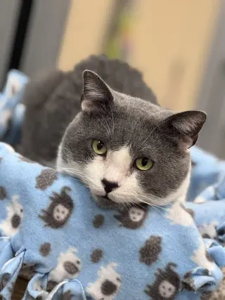 Byrdie & Mickle (bonded pair)