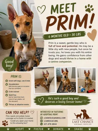 PRIM