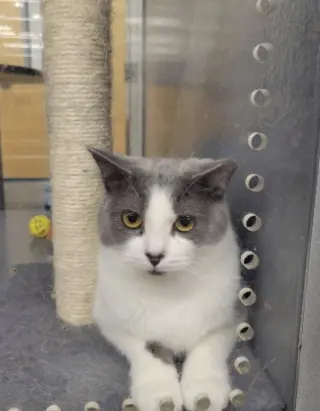 Sabrina