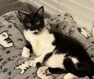Max