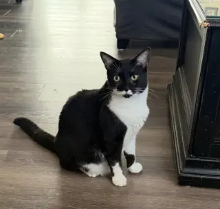 Max