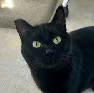 Onyx