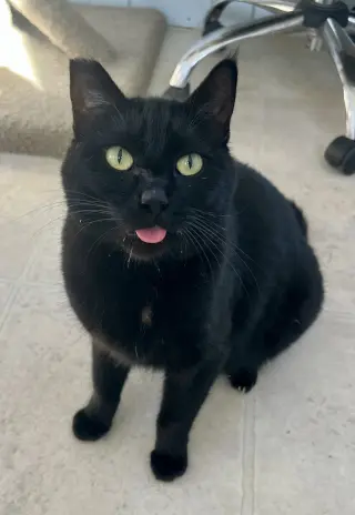 Onyx