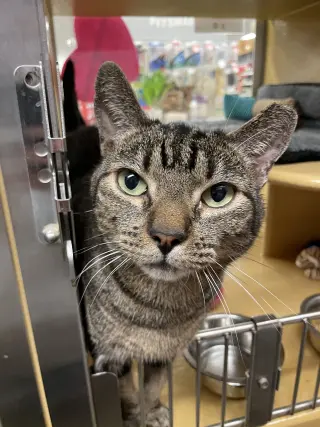 Mitch