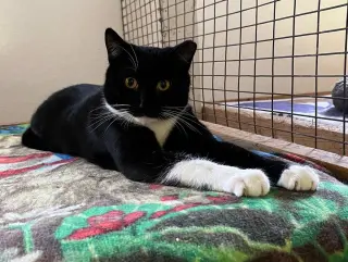 Ernie