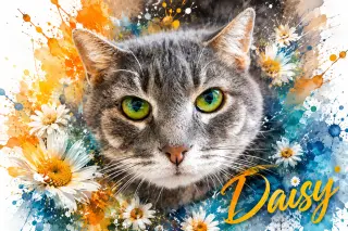Daisy (FCID# 02/09/2026 - 37 Trainer)