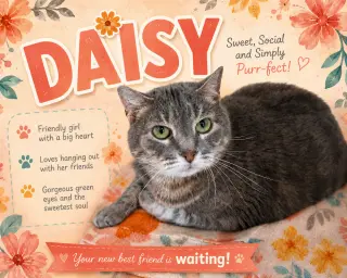 Daisy (FCID# 02/09/2026 - 37 Trainer)