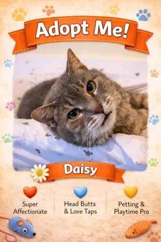 Daisy (FCID# 02/09/2026 - 37 Trainer)