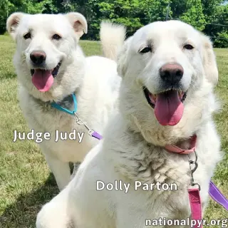 Judge Judy & Dolly Parton in KY - A Fun Duo!