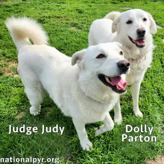 Judge Judy & Dolly Parton in KY - A Fun Duo!