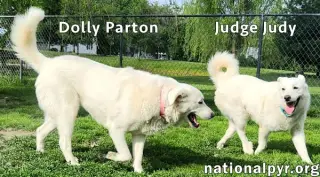 Judge Judy & Dolly Parton in KY - A Fun Duo!