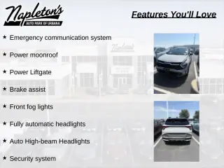 Kia Sportage 2024 AWD X-Pro 4dr SUV