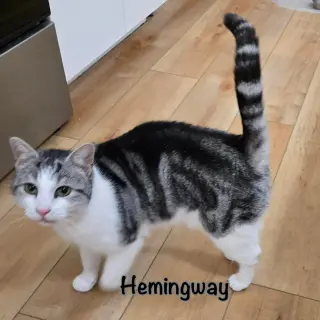 Hemingway