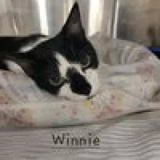 Winnie