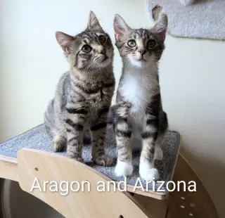 Arizona