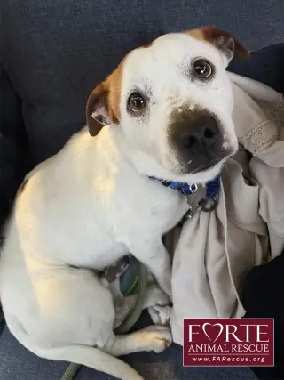 Carlos