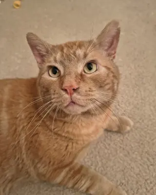 Rusty