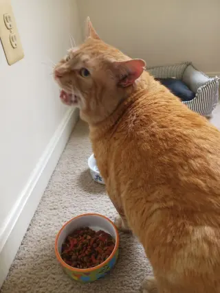 Rusty