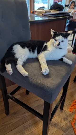 Patches