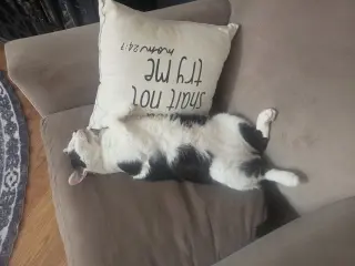 Patches