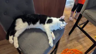 Patches