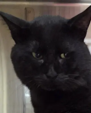 Phil