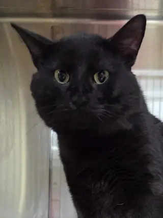 Phil