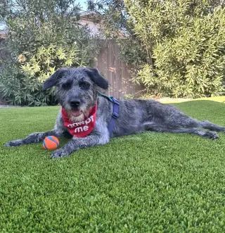Tamra