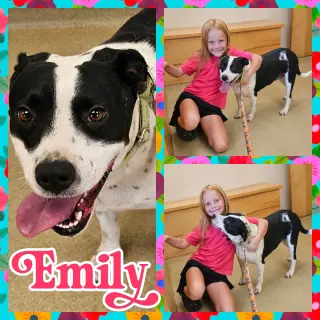 Emily