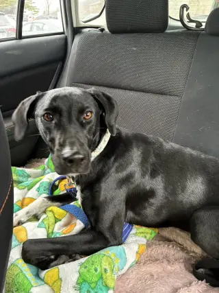 Daisy aka Sprite