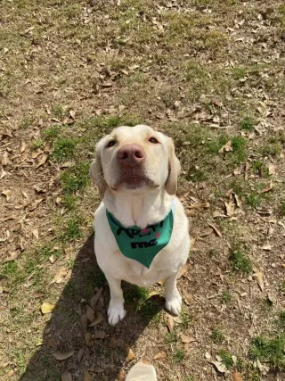 Wilson